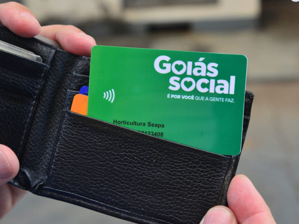 Iniciativas do Goiás Social