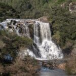 Stunning waterfall surrounded by lush greenery in São Francisco de Paula, Brazil.